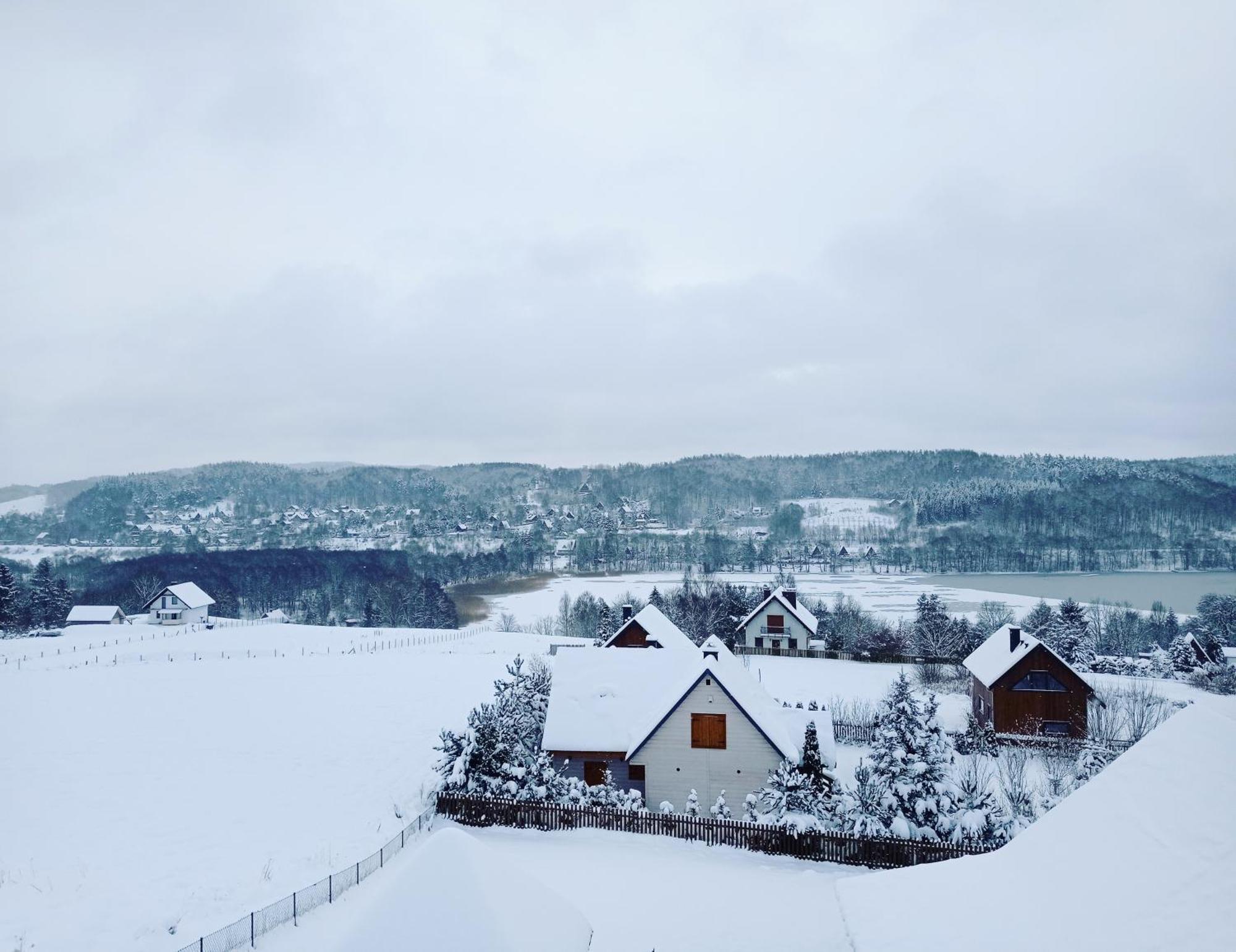 Pierszczewo Easy Hill - Domek Na Kaszubach Z Saunaヴィラ エクステリア 写真